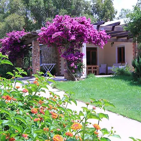 House Suestellas *