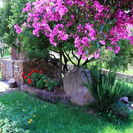 House Suestellas Летний дом