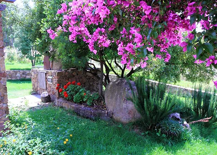 House Suestellas Летний дом